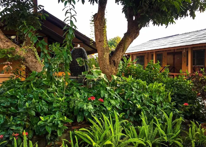Charlie\'S House